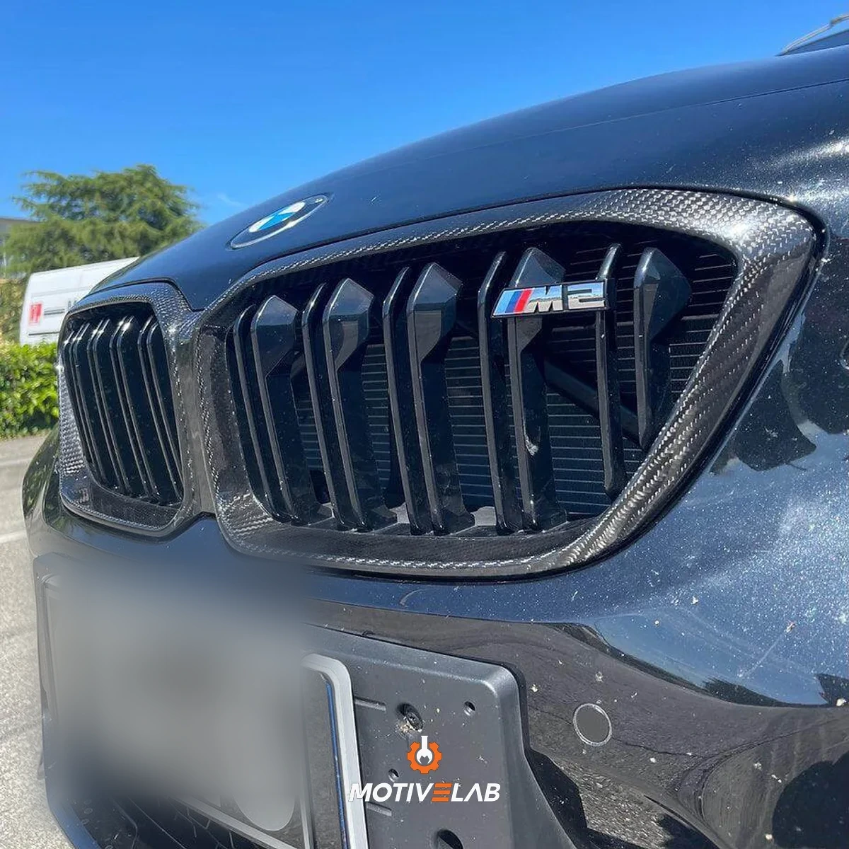 Griglia anteriore in carbonio BMW F87 M2C
