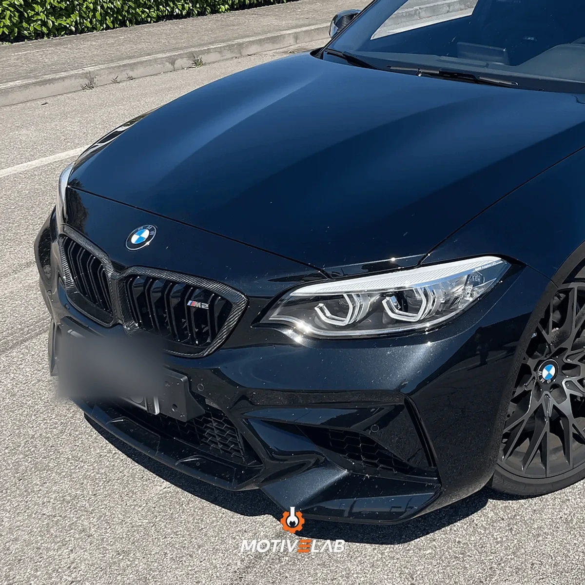 Griglia anteriore in carbonio BMW F87 M2C