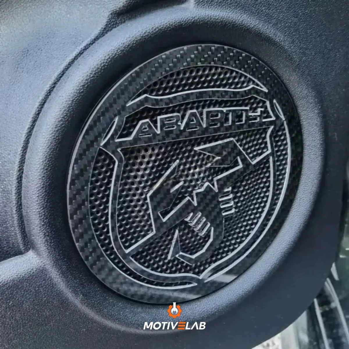 Abarth 500 Speaker Enclosure Carbon Fibre Cover — photo 1